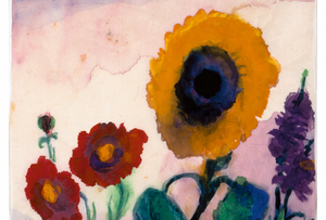 Sonnenblume, Lupinen und rote Blüten, Um 1948/50